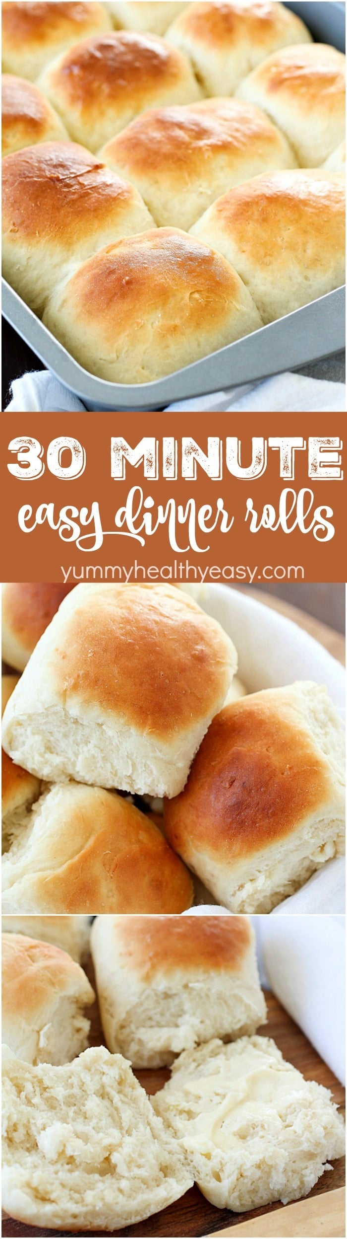 Easy Dinner Rolls that take only 30 minutes to make! This recipe produces a small batch of 15 rolls, making it perfect for a quick side dish any night of the week! Plus 20 more delicious bread recipes you won't want to miss!