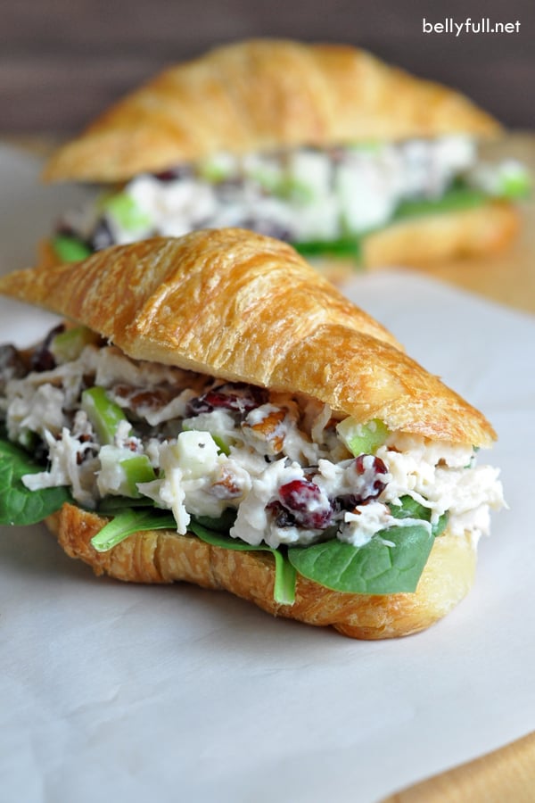 Chicken Salad Sandwich - The Best Summer Salad Recipes!