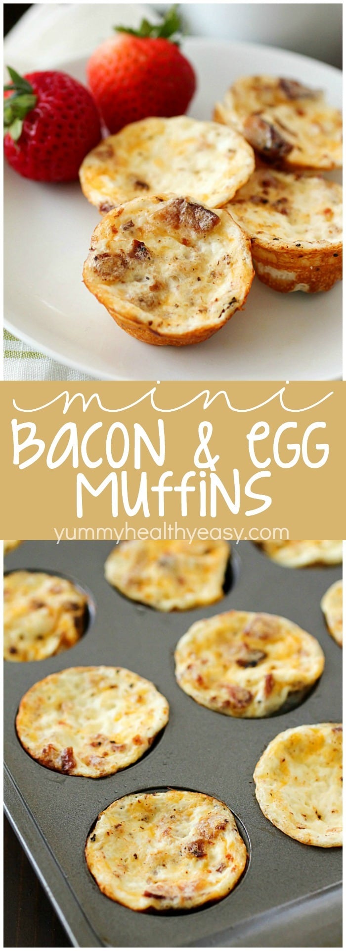 Mini Bacon Egg Muffins are healthy little breakfast bites full of yummy protein. Only 43 calories and 3 grams of protein in every mini egg muffin! They're easy to make and perfect to make ahead and grab on the go! AD